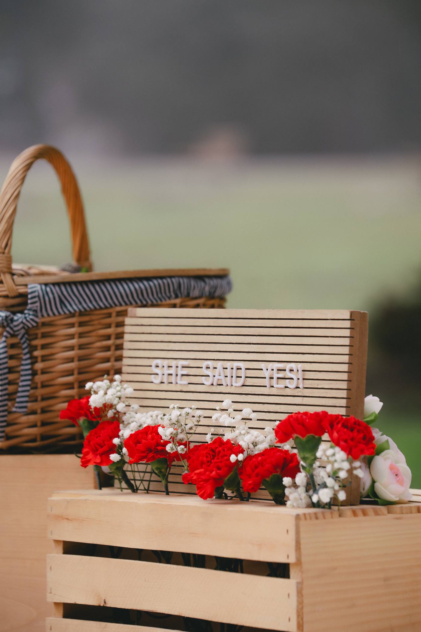 Proposal setup
