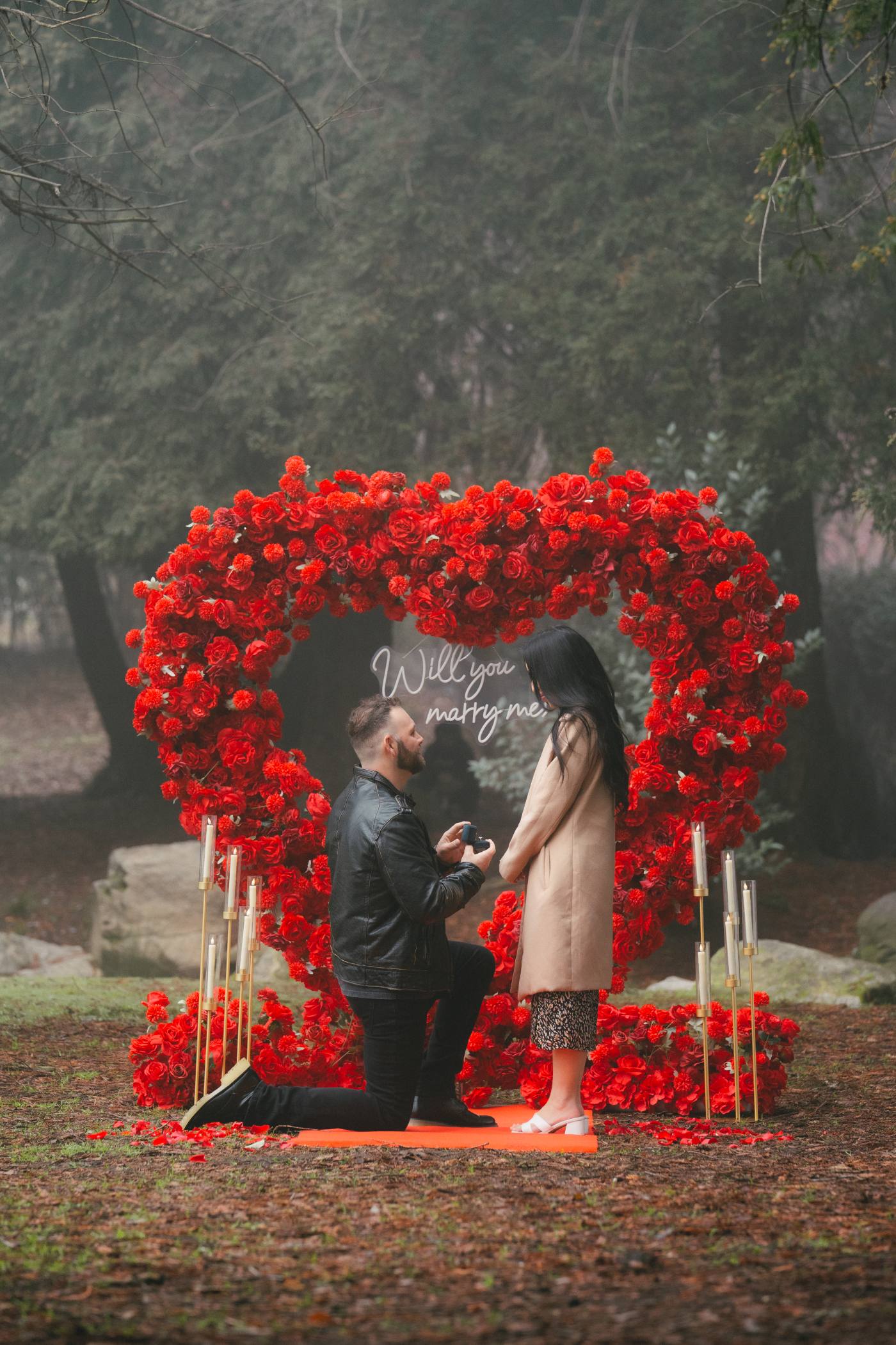 Proposal setup